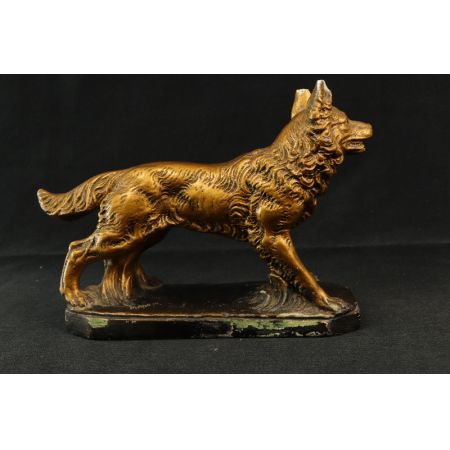 Statur Schäferhund Gold