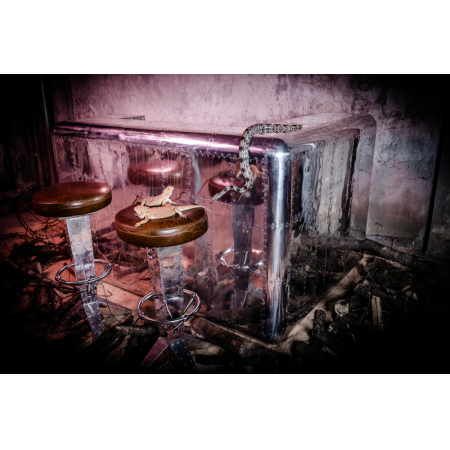 Art Déco "D. Clipper" Bar