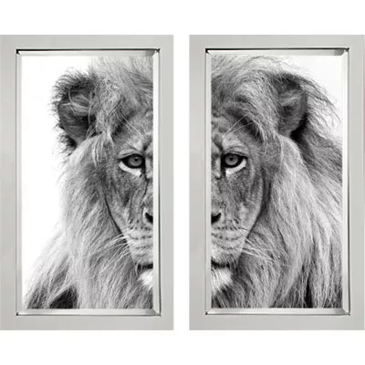 Schwarz-weiß Bild Löwe 2er Set im Bilderrahmen 60x90
