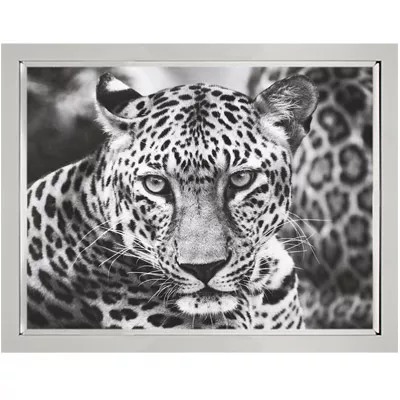 Wandbild mit Bilderrahmen Schwarz-weiß Bild Junger Leopard 120x90