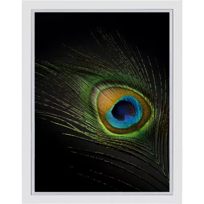 Wandbild Foto im Bilderrahmen Pfau Bild Pfauenfeder 30x40