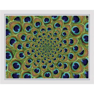 Wandbild Pfauenfeder Kunstdruck Bild im Bilderrahmen 80x60