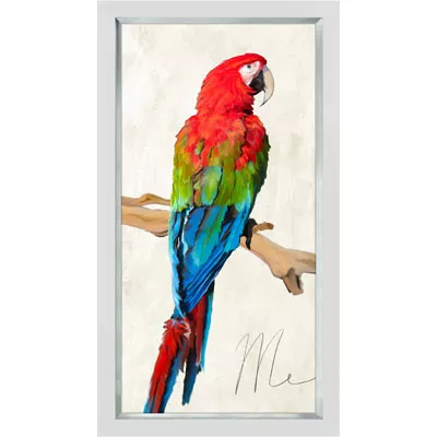 Wandbild Malerei im Rahmen Papagei "Me" 50x100