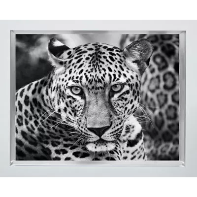 Schwarz-Weiß Fotodruck Wandbild Leopard im Rahmen 80x60