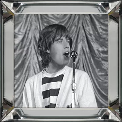 Wandbild Foto schwarz-weiß Rolling Stones Gather Moss III 40x40 im Bilderrahmen 