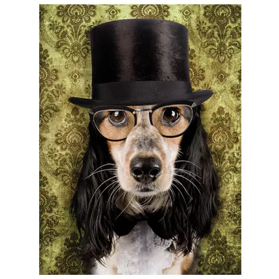 Wandbild Bild "Hund mit Seiden Hut" Wanddekoration 60x80