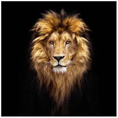 Leinwandbild Löwe Malerei Dekoratives Wandbild 80x80