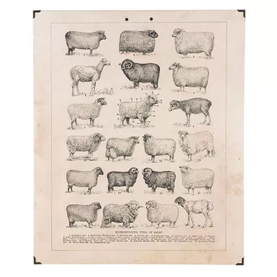 Clayre & Eef Wandkarte 60x1x50 cm