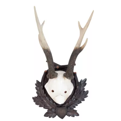 Clayre & Eef Antlers 45x40x23 cm