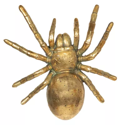 Clayre & Eef Dekoration Spinne 21x22x6 cm