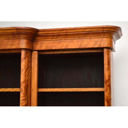 Satin Birch Bücherschrank antik 1860