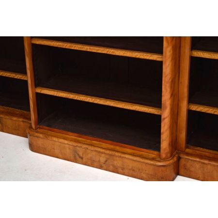 Satin Birch Bücherschrank antik 1860