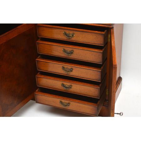 Großer Burr Walnuss Georgian Bücherregal