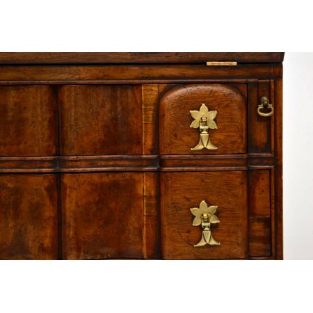 Writing Desk Wurzelnussholz Antik