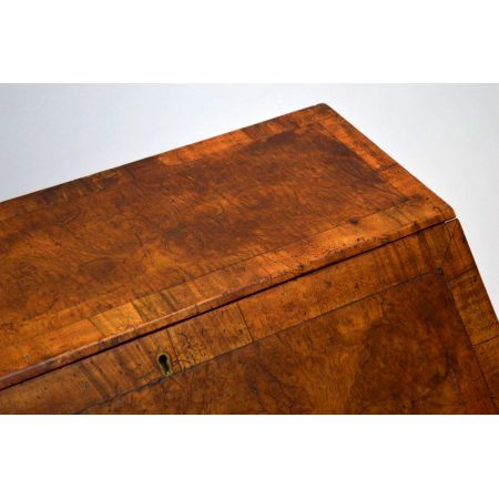 Writing Desk Wurzelnussholz Antik