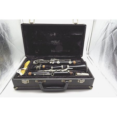 Klarinette mit Koffer