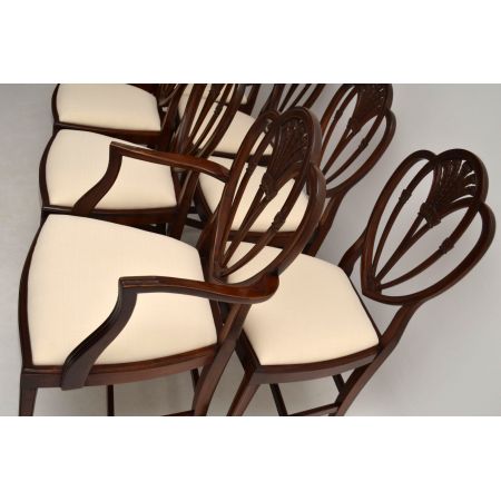 Antik-Set von 8 antiken Mahagoni-Esszimmerstühlen