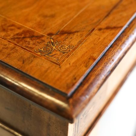 Viktorianische 2-türige Vitrine, Vitrinenschrank, Sideboard mit Intrasien aus Nussholz, englischer Bücherschrank, Burr-walnut Glasvitrinenschrank