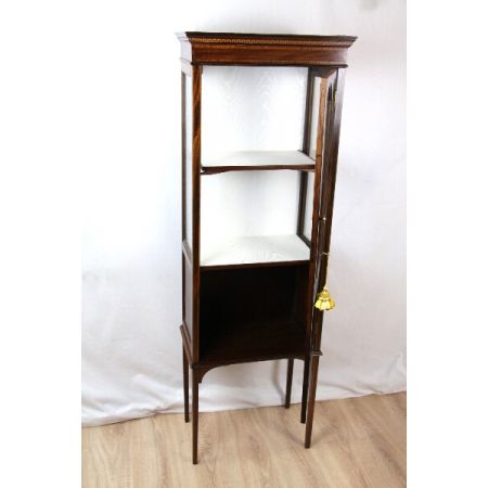 Vitrine Edwardian Showcase Display Cabinet