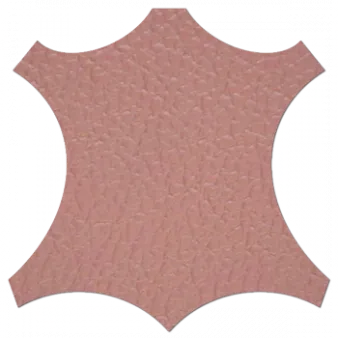 Birch Leather