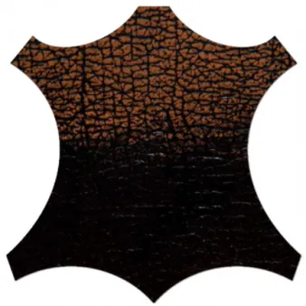 Leather Samples