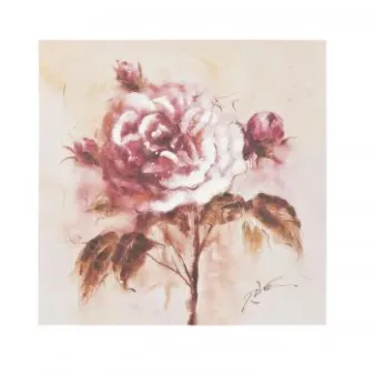 Bilder & Wanddekoration