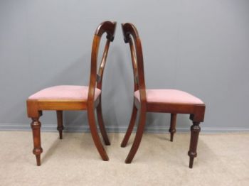 Viktorianische Mahagoni Esszimmer Stühle antik ca 1860