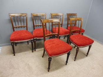 6 Schottische Antike Palisander Stühle ca. 1880