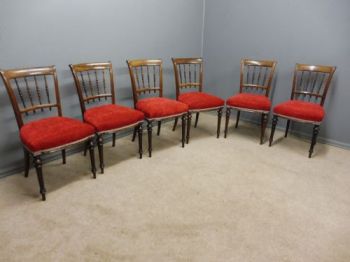 6 Schottische Antike Palisander Stühle ca. 1880