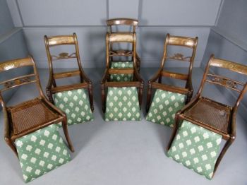 6 Regency Antike Englische Harlekin Palisander Stühle ca. 1815