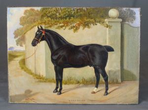 Ölgemälde Pferd Porträt Lord Derby von Albert Clark aus dem 19.JH