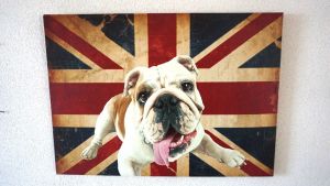 Oeldruck Very British  Hund  Englische flagge 