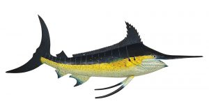 Fisch Trade Sign - Marlin