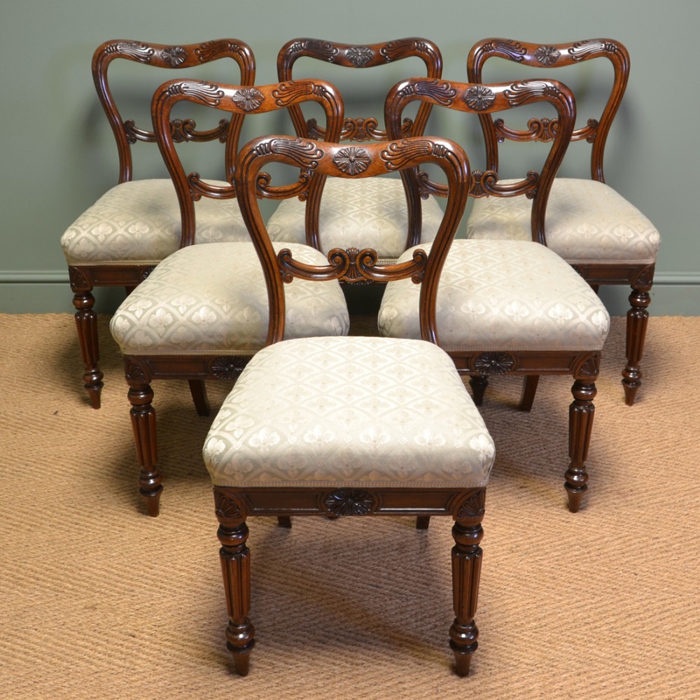 6 Antike Englische William IV. Palisander Stühle von Gillows ca. 1835