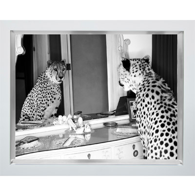 Wandbild Im Bilderrahmen Leopard Fotodruck 80x60 Schwarz Weiss Fotodruck